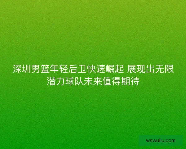 深圳男篮年轻后卫快速崛起 展现出无限潜力球队未来值得期待