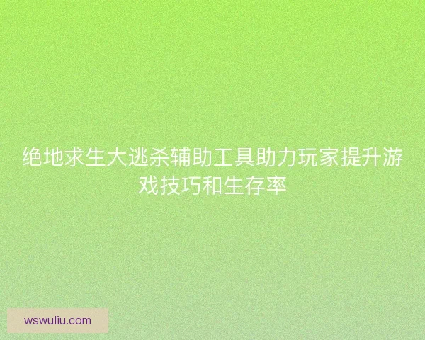 绝地求生大逃杀辅助工具助力玩家提升游戏技巧和生存率