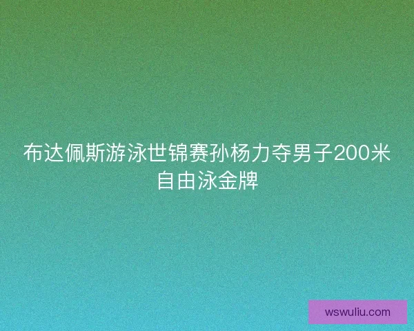 布达佩斯游泳世锦赛孙杨力夺男子200米自由泳金牌